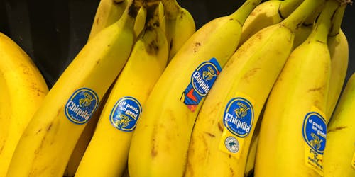 chiquita bananas