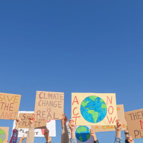 people with posters protesting against climate change