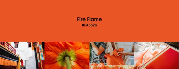 Fire Frame (#EA5526) 