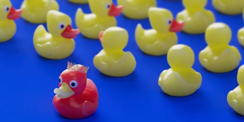 A red rubber duck stands out from a crowd of yellow rubber ducks