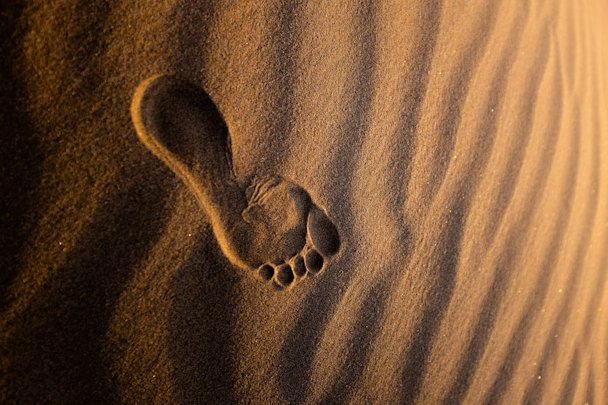 A footprint in the sand