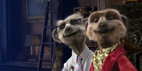 Compare the Market meerkat mascots 