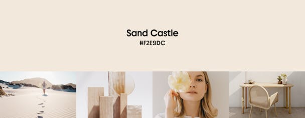 The sand castle colour code (#F239DC) with example images below, such as sand, wood, flowers