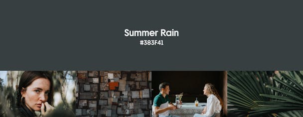 The summer rain colour code (#383f4) with example images below, such as dark plant leaves, a dark night sky, a dark wall of images