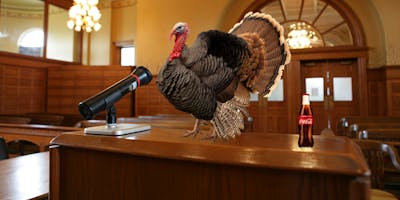 A turkey in court